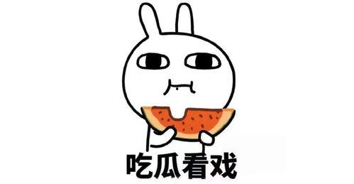 圈子娱乐吃瓜君